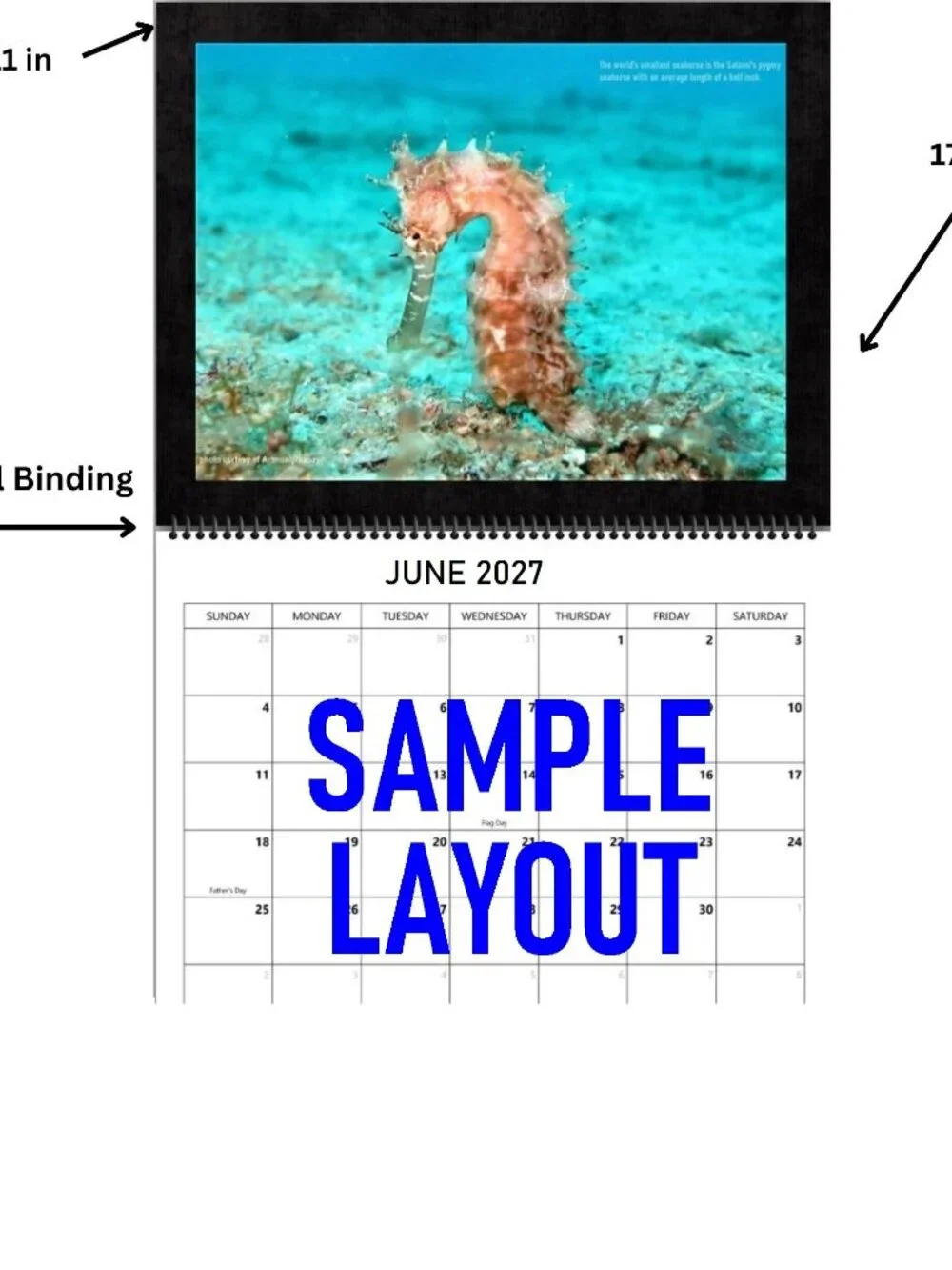 2027 Seahorse Calendar Ocean Marine Life Photography Coastal Decor Wall Calendar